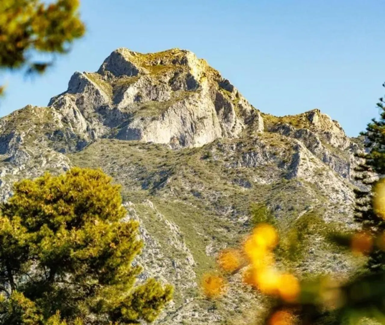 Sierra Blanca Resort Art Of Healing Marbellac Hotel